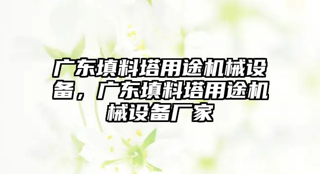 廣東填料塔用途機(jī)械設(shè)備，廣東填料塔用途機(jī)械設(shè)備廠家