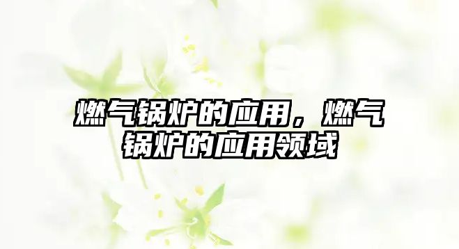 燃?xì)忮仩t的應(yīng)用，燃?xì)忮仩t的應(yīng)用領(lǐng)域