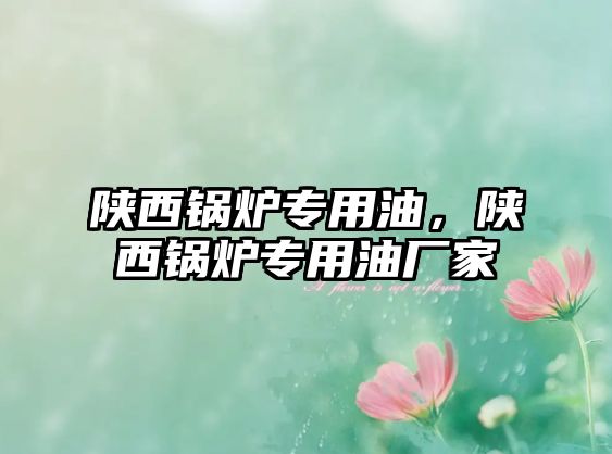 陜西鍋爐專用油，陜西鍋爐專用油廠家