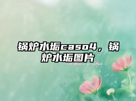 鍋爐水垢caso4，鍋爐水垢圖片