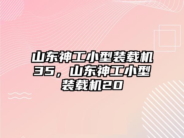 山東神工小型裝載機(jī)35，山東神工小型裝載機(jī)20