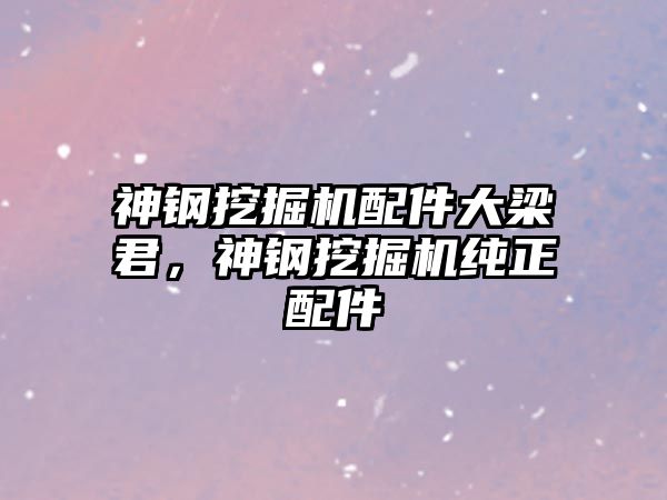 神鋼挖掘機配件大梁君，神鋼挖掘機純正配件