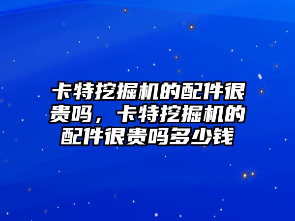 卡特挖掘機的配件很貴嗎，卡特挖掘機的配件很貴嗎多少錢