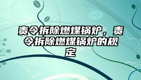 責(zé)令拆除燃煤鍋爐，責(zé)令拆除燃煤鍋爐的規(guī)定