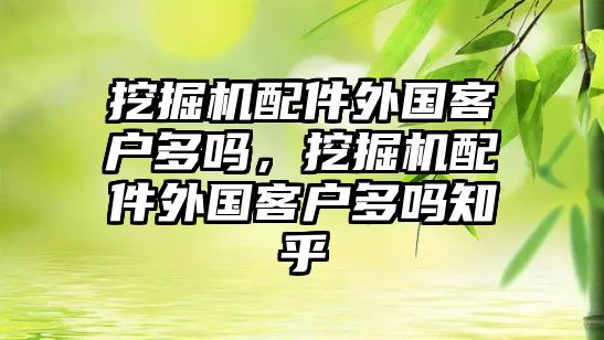 挖掘機(jī)配件外國(guó)客戶多嗎，挖掘機(jī)配件外國(guó)客戶多嗎知乎