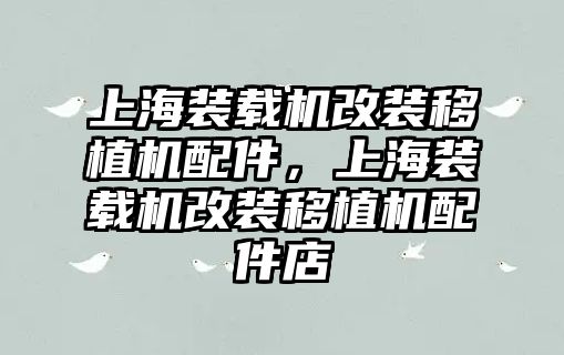 上海裝載機(jī)改裝移植機(jī)配件，上海裝載機(jī)改裝移植機(jī)配件店