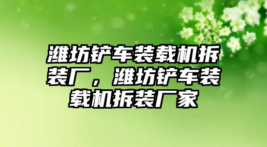 濰坊鏟車裝載機(jī)拆裝廠，濰坊鏟車裝載機(jī)拆裝廠家