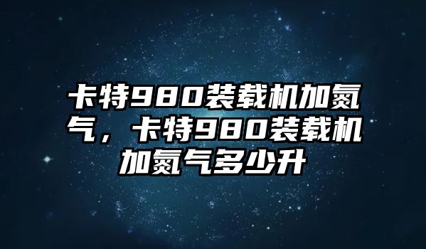 卡特980裝載機加氮氣，卡特980裝載機加氮氣多少升