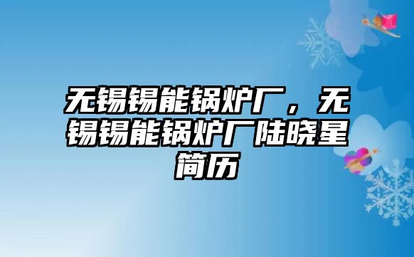 無(wú)錫錫能鍋爐廠，無(wú)錫錫能鍋爐廠陸曉星簡(jiǎn)歷