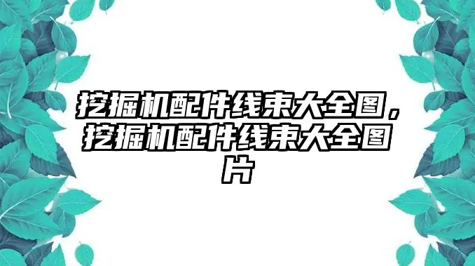 挖掘機配件線束大全圖，挖掘機配件線束大全圖片