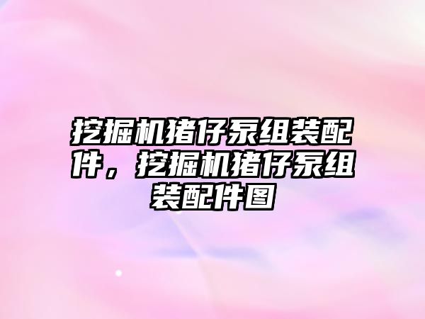 挖掘機豬仔泵組裝配件，挖掘機豬仔泵組裝配件圖