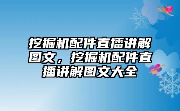 挖掘機配件直播講解圖文，挖掘機配件直播講解圖文大全