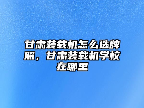 甘肅裝載機怎么選牌照，甘肅裝載機學校在哪里