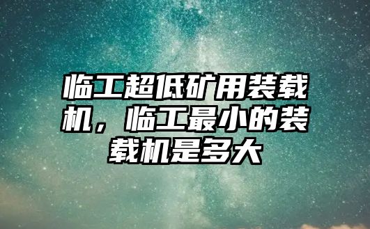 臨工超低礦用裝載機(jī)，臨工最小的裝載機(jī)是多大