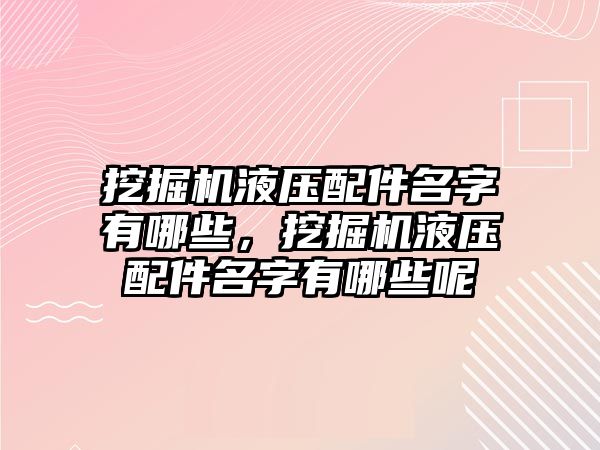 挖掘機液壓配件名字有哪些，挖掘機液壓配件名字有哪些呢