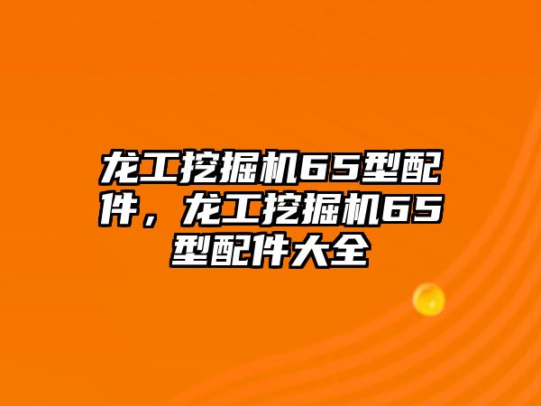 龍工挖掘機65型配件，龍工挖掘機65型配件大全