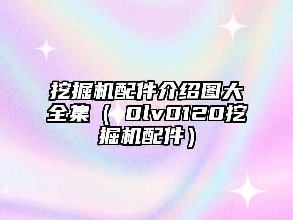 挖掘機配件介紹圖大全集（ⅴ0lv0120挖掘機配件）