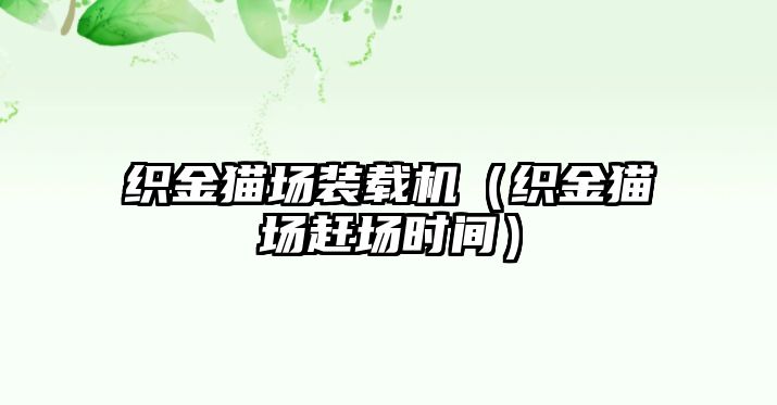 織金貓場裝載機(jī)（織金貓場趕場時間）