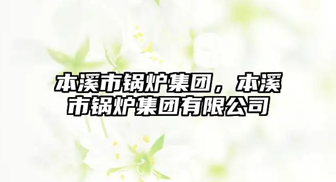 本溪市鍋爐集團(tuán)，本溪市鍋爐集團(tuán)有限公司