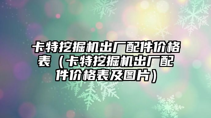 卡特挖掘機出廠配件價格表（卡特挖掘機出廠配件價格表及圖片）