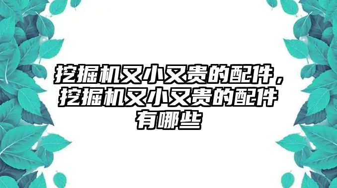 挖掘機(jī)又小又貴的配件，挖掘機(jī)又小又貴的配件有哪些