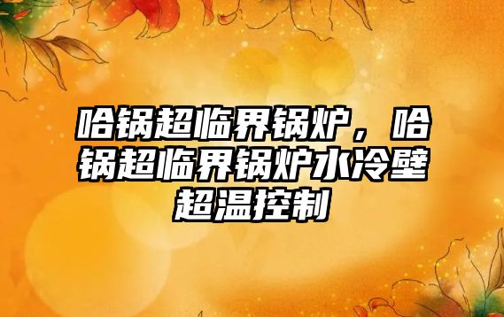 哈鍋超臨界鍋爐，哈鍋超臨界鍋爐水冷壁超溫控制