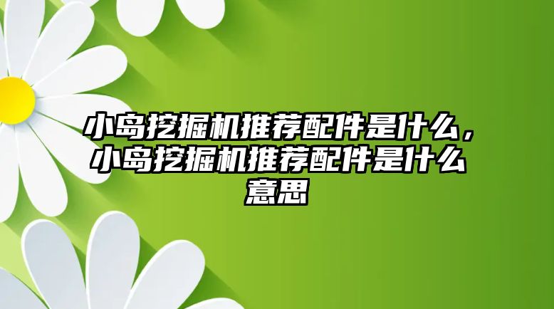 小島挖掘機推薦配件是什么，小島挖掘機推薦配件是什么意思