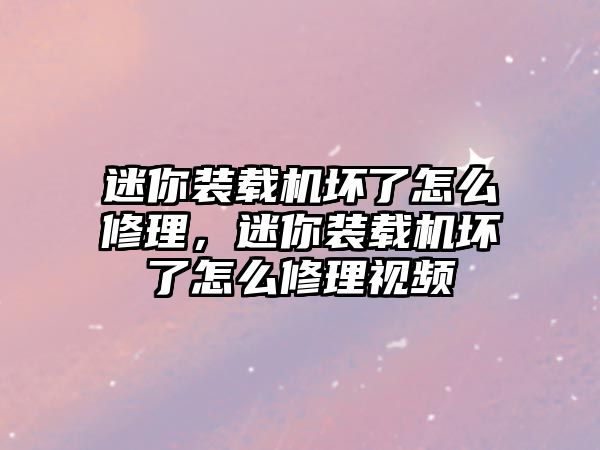 迷你裝載機(jī)壞了怎么修理，迷你裝載機(jī)壞了怎么修理視頻