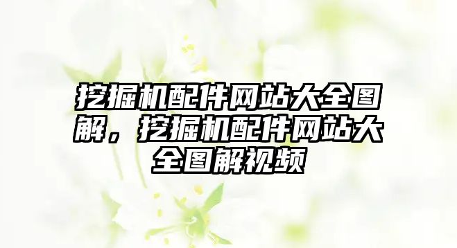 挖掘機配件網(wǎng)站大全圖解，挖掘機配件網(wǎng)站大全圖解視頻