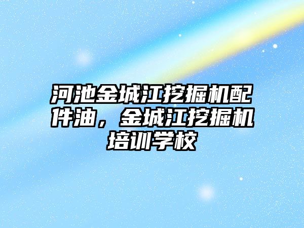 河池金城江挖掘機配件油，金城江挖掘機培訓學校