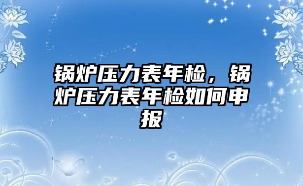 鍋爐壓力表年檢，鍋爐壓力表年檢如何申報(bào)