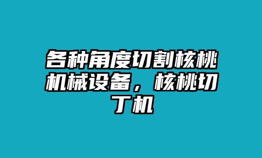 各種角度切割核桃機(jī)械設(shè)備，核桃切丁機(jī)