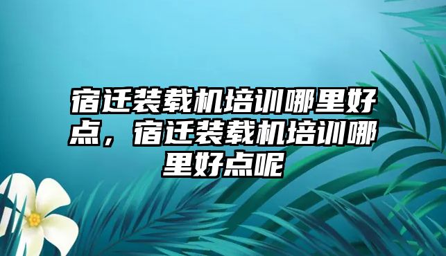 宿遷裝載機培訓(xùn)哪里好點，宿遷裝載機培訓(xùn)哪里好點呢