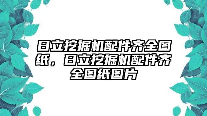 日立挖掘機配件齊全圖紙，日立挖掘機配件齊全圖紙圖片