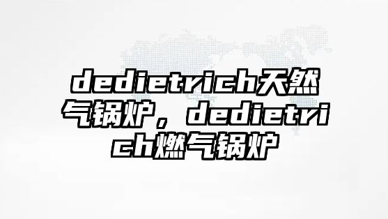 dedietrich天然氣鍋爐，dedietrich燃?xì)忮仩t