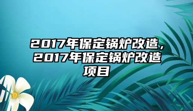 2017年保定鍋爐改造，2017年保定鍋爐改造項(xiàng)目