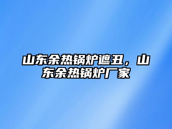 山東余熱鍋爐遮丑，山東余熱鍋爐廠家