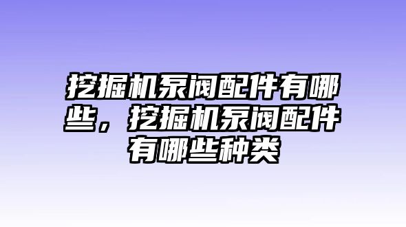 挖掘機(jī)泵閥配件有哪些，挖掘機(jī)泵閥配件有哪些種類