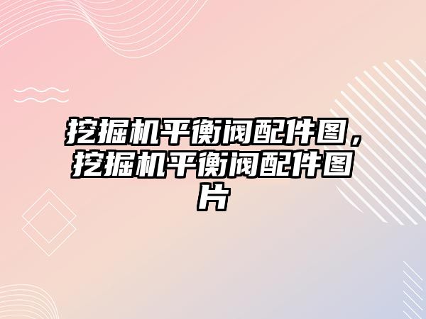 挖掘機平衡閥配件圖，挖掘機平衡閥配件圖片