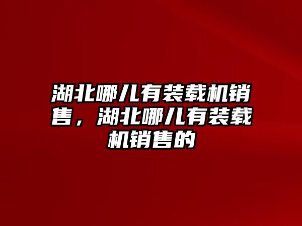 湖北哪兒有裝載機(jī)銷售，湖北哪兒有裝載機(jī)銷售的