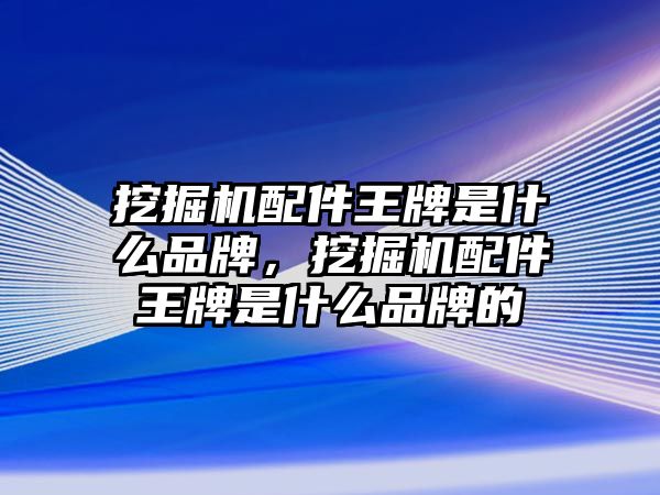 挖掘機配件王牌是什么品牌，挖掘機配件王牌是什么品牌的