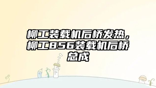 柳工裝載機后橋發(fā)熱，柳工856裝載機后橋總成