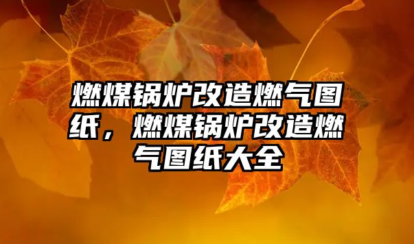 燃煤鍋爐改造燃?xì)鈭D紙，燃煤鍋爐改造燃?xì)鈭D紙大全