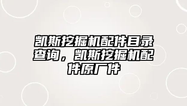 凱斯挖掘機配件目錄查詢，凱斯挖掘機配件原廠件