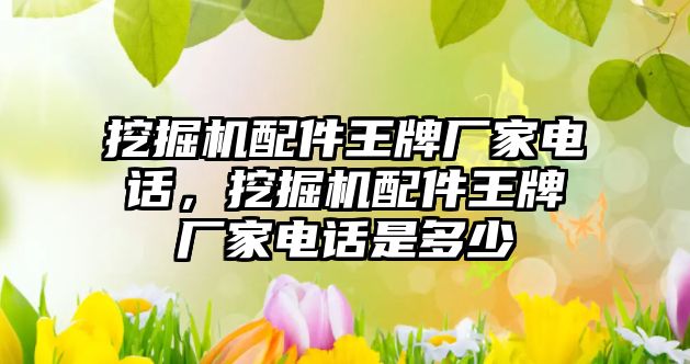 挖掘機配件王牌廠家電話，挖掘機配件王牌廠家電話是多少