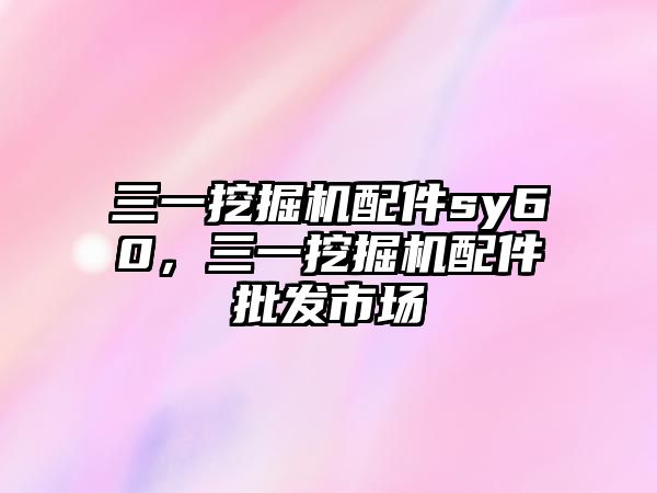 三一挖掘機配件sy60，三一挖掘機配件批發(fā)市場