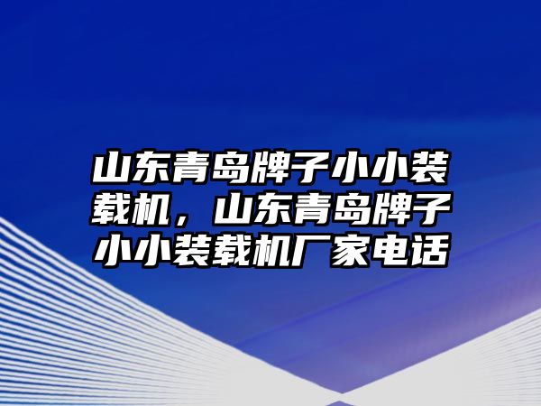 山東青島牌子小小裝載機，山東青島牌子小小裝載機廠家電話