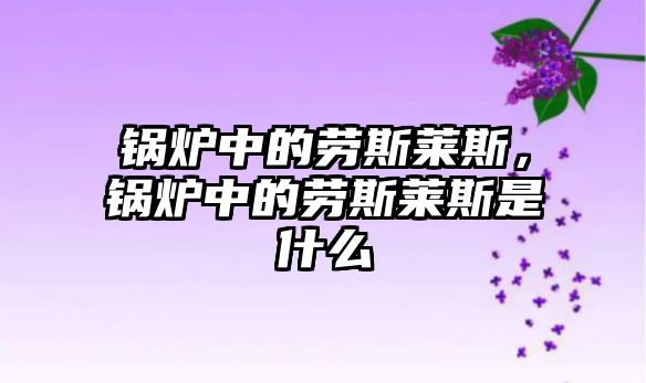 鍋爐中的勞斯萊斯，鍋爐中的勞斯萊斯是什么