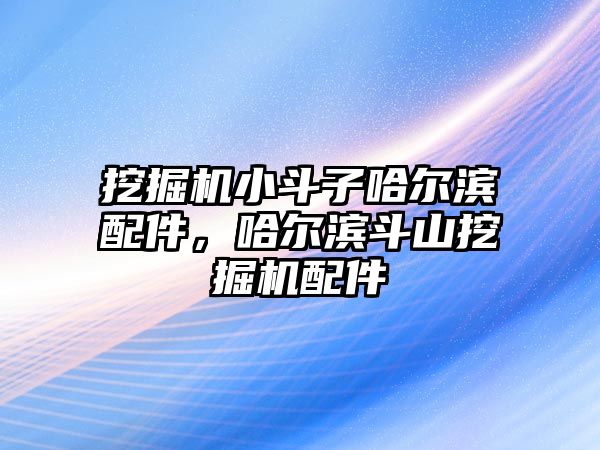 挖掘機小斗子哈爾濱配件，哈爾濱斗山挖掘機配件