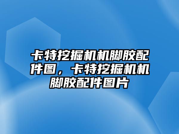 卡特挖掘機機腳膠配件圖，卡特挖掘機機腳膠配件圖片